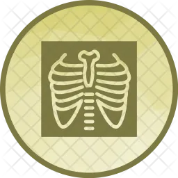 Lungs  Icon