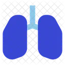 Lungs Organ Healthcare Icon
