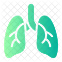 Lungs Anatomy Respiratory System Icon