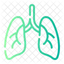 Lungs Anatomy Respiratory System Icon