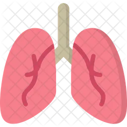 Lungs  Icon