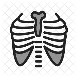 Lungs Icon - Download in Colored Outline Style