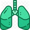 Lungs Respiratory Organ Icon