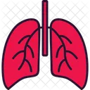Lungs  Icon