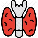 Lungs Healthcare Anatomy Icon