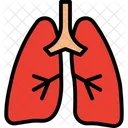 Lungs  アイコン