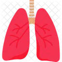 Lungs  Icon