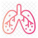 Lungs Breath Pulmonary Icon