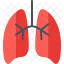 Lungs Virus Diseases Icône