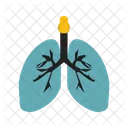 Lungs Bodypart Anatomy Icon