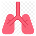 Lungs  Icon