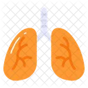 Lunges Organ Bronchi Icon