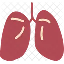 Lungs Organ Medical Icon