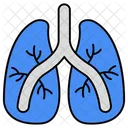 Lungs Respiratory Organ Human Organ Icon