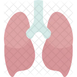 Lungs  Icon