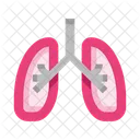 Anatomy Lungs Internal Organ Icon