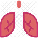 Lungs Lung Breath Icon