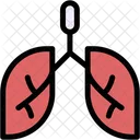 Lungs  Icon