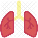 Lungs Organ Healthcare And Medical Icon