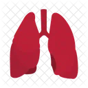 Lungs Internal Organ Organ Icon