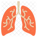 Diagnosis Lungs Smoke Icon