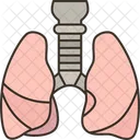 Lungs Respiratory Chest Icon