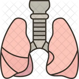 Lungs  Icon