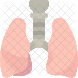 Lungs  Icon