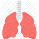 Lungs Health Care Icon