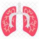 Lungs Respiratory System Pulmonary Function Icon
