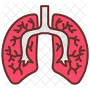 Lungs Respiratory System Pulmonary Function Icon