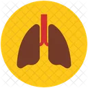 Lungs  Icon