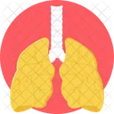 Lungs Health Care Icon