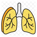 Lungs Organ Medical Icon