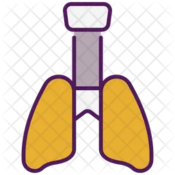 Lungs  Icon