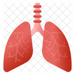 Lungs Cancer  Icon