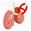 Health Issues Lungs No Smoking Icon