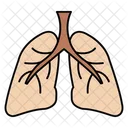 Lungs Corona Virus Icon