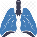 Lungs Disease Covid Corona Icon