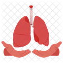 Lungs donation  Icon