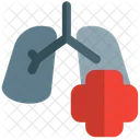 Lungs Health Lungs Organ Icon
