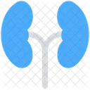 Medical Anatomy Lungs Icon