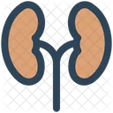 Medical Anatomy Lungs Icon