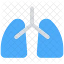 Medical Anatomy Lungs Icon