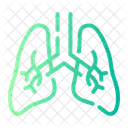 Lungs  Icon