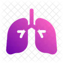 Lungs Breath Anatomy Icon