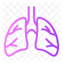 Lungs  Icon