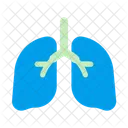 Lungs Breath Anatomy Icon