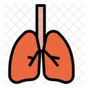 Lungs  Icon