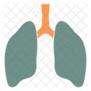 Lungs Lung Anatomy Icon